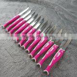 51010 12PCS STAINLESS STEEL Fruit Knife Set thumbnail-6