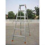 Aluminum Orchard Ladders thumbnail-1