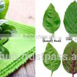 Organic Tulsi Leaf Powder