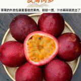 Passion Fruit thumbnail-2