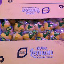 Mango & Lemon thumbnail-3