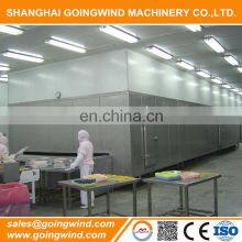 Automatic IQF Ice Cream Fast Freezing Machine Auto Ice Cream Belt Continuous Quick Blast Freezer Equipment Cheap Price for Sale