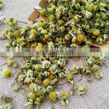 Yang gan ju Manufacturer Wholesale natural dry organic chamomile flower