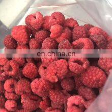 Crop 2020 Organic Conventional IQF Frozen Whole Raspberry for Jam Yogurt Juice thumbnail-5
