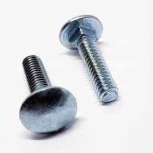 A2 stainless steel carriage bolt