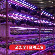 T8 Full Spectrum LED Plant Growth Lamp thumbnail-5