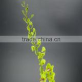 Super quality hot sale mini wholesale violet orchid cattleya