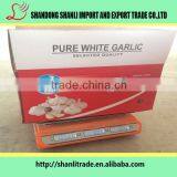 Chinese Bottled Garlic Chinese Garlic/fresh Garlic Garlic thumbnail-5