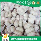 Best Quality Normal White White Garlic thumbnail-2