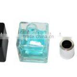 Glass Diffuser Bottle Frosted 120ml