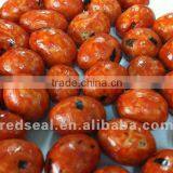 Soft Cajun Flavor Coated Peanuts