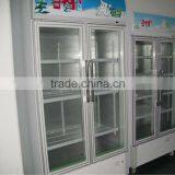 801L Upright Cooler thumbnail-1