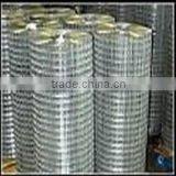 galvanized welded wire mesh