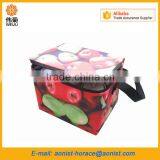 Cheap Non Woven Insulated Lunch Cooler Bag thumbnail-5