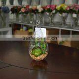 Hanging Glass Terrarium Necklace Decorative Succulent Plants Tropical Plants thumbnail-2