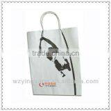 Custom Promotional Paper Bag