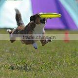 Logo Printing Cheap Promotional Dog Nylon Foldable Flying Disc