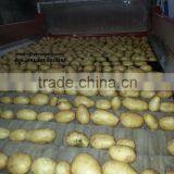 Pakistan Origin Fresh Potatoes thumbnail-1