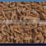 Cumin Seed thumbnail-1