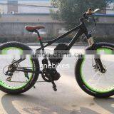 high quality green city electric bike /fat tire electric bike