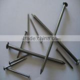 Common Wire Nails in cartons and plywood packing