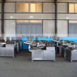 Commercial Vegetable Chopper|Automatic Meat Cutting and Blending Machine thumbnail-3