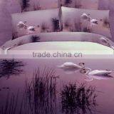 2013 New Nantong Foursix Luxury 100% Cotton Reactive Dye 40s Home Textile Duvet Cushion Cover 3d Bedding Set and Cotton Fabric