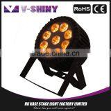10W9 RGBW IP65 Price Led Par Stage Light
