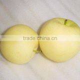 Asian ya Pear