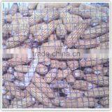 High Quality Reasonable Price in Store Crimping Wire Mesh thumbnail-6