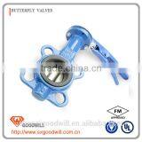 2017 Vertical Butterfly Valve thumbnail-5