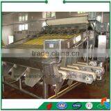 Sanshon Shrimp Grading Machine thumbnail-1