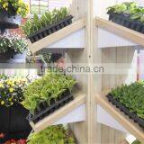 32 Cell Polystyrene Plug Tray Plastic in Agriculture thumbnail-2