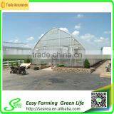 Gothic Arch Greenhouse thumbnail-2