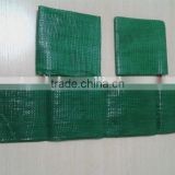 green leno mesh bag