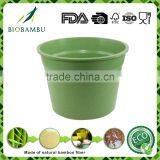 Welcome Biodegradable Affordable Plant Bamboo Pot Eco thumbnail-3