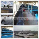 HDPE Black Rolls Antiseepage Geomembrane thumbnail-3