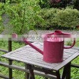 Large Metal Material Watering Can for Garden Decoration thumbnail-1