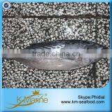 Frozen Bonito Fish Without Points thumbnail-4