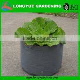 Garden Planting Bag thumbnail-1