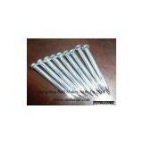 Concrete Nail thumbnail-1