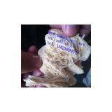 Texturized Soybean Fiber Protein Machine