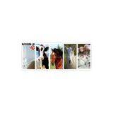 Nutricorn 98.5% L-Tryptophan/Threonline/Methionine Feed Additive thumbnail-3