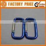 Customized Logo OEM Designed Printed Metal Carabiner thumbnail-2