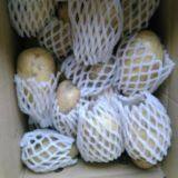 Hot Sale Organic Fresh Potato thumbnail-3