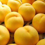 Chinese Frresh Peach thumbnail-1