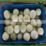 100% Organic Apple/Fuji Apple/Fresh Apples thumbnail-5