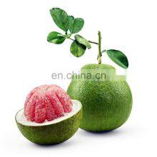 Vietnam Premium Quality WHOLE IQF Carton Common Cultivation Type Frozen Fruits For Dessert Snack Baking thumbnail-3