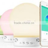 Bluetooth smart colorup music lamp