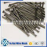 Common Round Steel Wire Nails